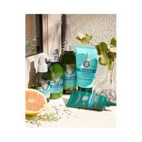 欧洲直邮L'Occitane欧舒丹草本纯净洗发水500ml温和顺滑替换装