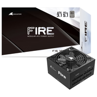 Great Wall/长城 白金全模 电源 1600W