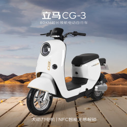 立马电动车 立马电动自行车80公里长续航电动车CG-3锂电池48V24Ah新国标电瓶车免驾照骑行上班代步小电驴梦幻白