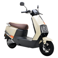 爱玛 电动摩托车辉腾72V21.8Ah大功率蓝牙智能App电动车续航110km 极地灰