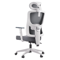 黑白调P5 单背款人体工学椅人工力学椅电竞电脑椅办公家用久坐适椅子 P5 MAX霜白(升降扶手)