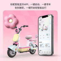 移动端、京东百亿补贴：爱玛 电动自行车元宇宙Pro80KM 藜麦咖