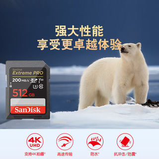  /闪迪 Sandisk  4K极速 SD卡  512GB