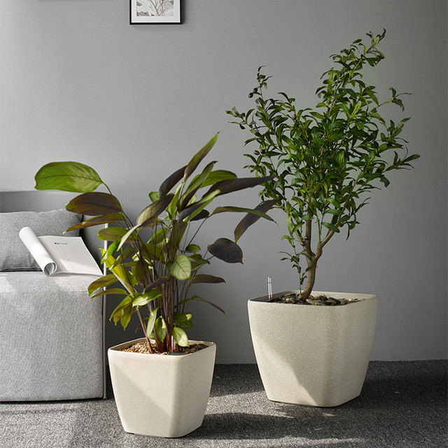 莱之秀 Leizisure 方形大口径花盆懒人自动吸水储水盆琴叶榕专用客厅中号大号塑料盆