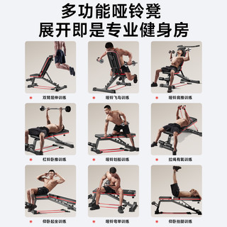 哑铃凳仰卧起坐辅助器多功能家用健身器材男士锻炼商用飞鸟卧推椅