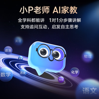  youdao/网易有道 15天试用 电子词典笔