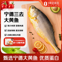 官井一号 GUANJING ONE 1 宁德冷冻三去黄花鱼净重600克(单条装) 大黄鱼 生鲜鱼类海鲜水产