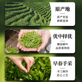 第一江南绿茶龙井特级2025新茶250g明前茶叶礼盒春华秋实西湖高端品 春华秋实-珍稀老树特级龙井250g