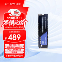 腾隐 TQ系列 TQP4000 NVMe M.2 固态硬盘 1TB（PCI-E4.0）