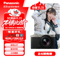 松下 Panasonic S9（18-40mm F4.5-6.3）套装