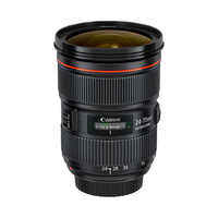 Canon/佳能 大三元 标准变焦镜头