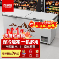 喜莱盛 商用大容量冰柜冷柜保鲜柜冷藏冷冻雪糕卧式家用冰箱超市BD-T1088