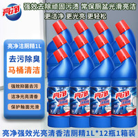 亮净洁厕剂洁厕精洁厕灵马桶清洁剂1L整箱装去味强效去污清香 亮净强效清香 1L 12瓶 一箱装
