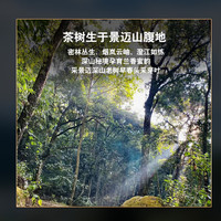 隆晨整箱14片2019年云南景迈山普洱茶生茶茶饼茶叶品质生普古树茶礼盒