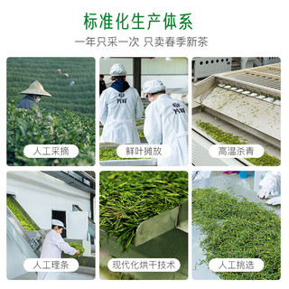 芳羽安吉白茶三钻绿茶125g 2025年核心原产地新茶 罐装茶叶自己喝茗茶