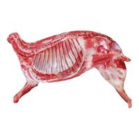 牧海肴原切牛羊肉串红柳大串烧烤羔羊肉串烤串套餐野餐烧烤食材清真烤肉 半羊套餐【羊脊骨4斤+羊小腿4斤+羊排块2斤】