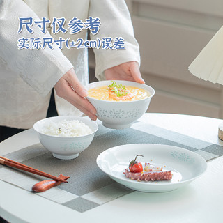 红叶国瓷陶瓷景德镇高温玲珑瓷吃饭碗碟子家用盘子餐具