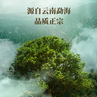 八马茶业 bamatea信记号 中华老字号 普洱茶 迷你小金沱云南熟普72g 铁盒装茶叶 2021年熟普24颗72g