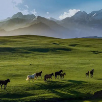 万达酒店及度假村新疆区域17店2晚通兑+全程可用不加价！