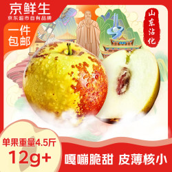 京鲜生 山东沾化冬枣 净重4.5斤 单果12g+
