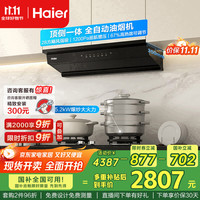 海尔 Haier 小巧系列 E900C50+Q2BEA 烟灶套装 5.2KW 天然气