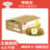 京鲜生 翡翠玉露香梨 净重4.5斤 单果250g+ 生鲜水果 源头直发