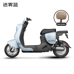 爱玛 电动自行车爱朵48V24Ah锂电长续航豪华复古电动车  迷雾蓝/黑
