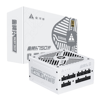 GOLDEN FIELD 金河田 A+系列 EPS750ELG 金牌（90%）全模组ATX电源 750W 纯白色