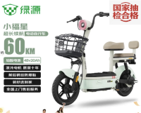 国家补贴：绿源 电动自行车乐骑9续航75公里LED透镜大灯陶瓷刹车真空钢丝轮胎液冷电机质保十年 沙淡绿