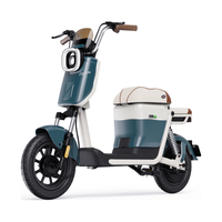 绿源NEO1 新新国标电动自行车 智能高性价比电动车 成人通勤代步小型可上牌长续航电自 到门店选颜色-48V20A铅酸