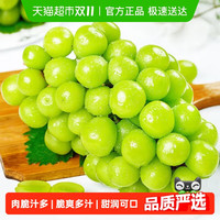 喵满分 阳光玫瑰葡萄晴王香印青提子整箱云南当季新鲜水果