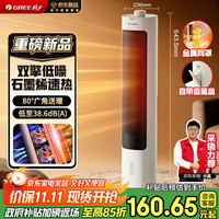格力 GREE 直流变频双擎石墨烯暖风机 家用立式摇头取暖器 暖脚全屋升温 NFTB-X6020