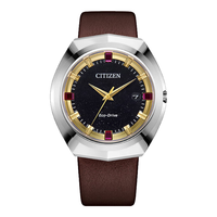 CITIZEN 西铁城 手表男士光动能Eco-Drive系列皮带不锈钢表带男表 BN1010-05E