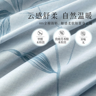 百丽丝水星家纺100%纯棉床单单件宿舍单人床单全棉被单床罩床上用品