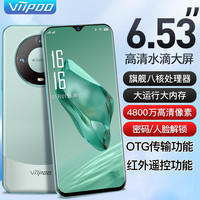 VIIPOO 202101 5G全网通 雅青色 12GB+256GB 智能手机
