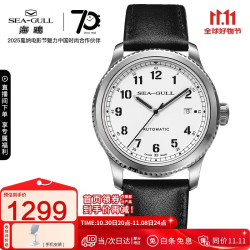 SEA-GULL 海鸥 重器系列 41毫米自动上链腕表 819.13.6081