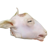 舍曼内蒙古新鲜整只生羊头羊头肉带舌头耳朵羊脑带皮整只现杀散养羊头 1个新鲜羊头