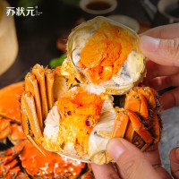 苏状元 活蟹 大闸蟹鲜活公3.5-3.8两 母2.5-2.8两 4对8只 螃蟹去绳足重 大闸蟹 螃蟹