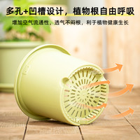 爱丽思 Deepot深型 圆形花盆 单盆 五号