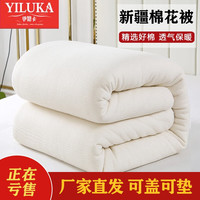 伊路卡 被子冬季棉被新疆棉花被被芯棉花胎棉絮复合混棉学生床褥垫子 150*200cm/4斤（春秋款