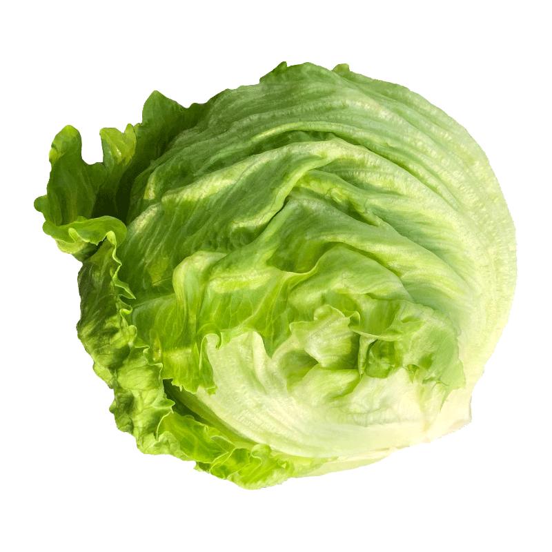 【千牛优福】球生菜500g新鲜蔬菜沙拉食材汉堡球形西生菜 5斤