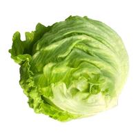 【千牛优福】球生菜500g新鲜蔬菜沙拉食材汉堡球形西生菜 5斤