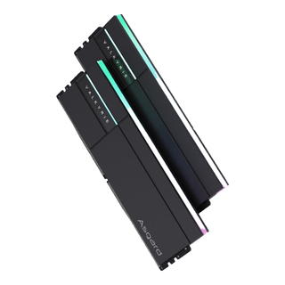 阿斯加特 女武神·瓦尔基里Ⅱ代 DDR5 6000 C28 32GB(16Gx2) 极夜黑 RGB灯条