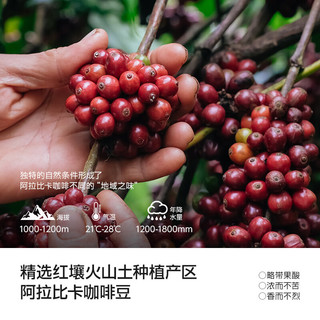  谷本日记 冷萃浓缩 速溶咖啡粉