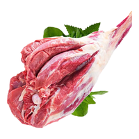 鲁禧海岸草原羊肉生鲜 羊排新鲜羊腿肉 羊蝎子火锅烧烤食材年货半只羊 【4斤】羔羊精修羊后腿