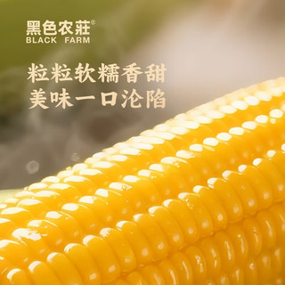 黑色农莊有机东北黑糯玉米真空包装黏糯大棒黑珍珠玉米220g*8根礼盒装 黄糯玉米220g*8根