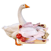 岽鲜 大鹅生鲜 杀后7-8斤 农家散养