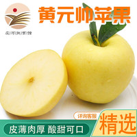 鲜姿 大连黄元帅苹果应季苹果黄金帅奶油黄 4.5斤中果(70-75mm+)