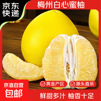 梅州白心蜜柚白肉柚子新鲜应季水果冰糖金碌柚非三红柚沙田柚中秋 白柚2粒 单果1.8-2.3斤