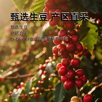 风孜咖啡 568大组合 M5/E6/I8 三风味三大盒 挂耳咖啡 (10g*22*3)